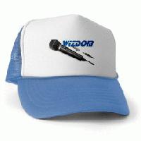 Picture for song 'The Life' by artist 'mcWizdom'