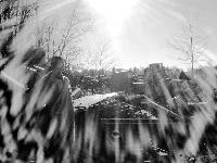 Picture for song 'Bebop' by artist 'Mediafriend'