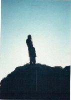 Picture for song 'dream dancer' by artist 'medicine dog'