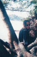 Picture for song 'shapeshifting dream (w/ patrick davis)' by artist 'medicine dog'