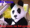 Picture for song 'any ?' by artist 'Melomaniac'