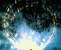 Picture for song 'Darkness' by artist 'Meltdown (UK)'