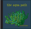 Picture for song 'The Aqua Path' by artist 'Melusine'