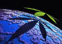 Picture for song 'EyE Sold My Soul (Bar-Code)' by artist 'MeMe Thee Infamous One'