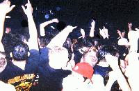 Picture for song 'PULLING THE WRONG STRINGS (Live in Tampa Florida)' by artist 'Memory Hole'