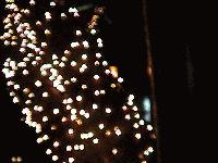 Picture for song 'a cameo featuring stan lee' by artist 'menasehs diary'