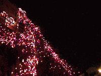 Picture for song 'jasmine' by artist 'menasehs diary'