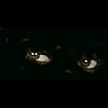 Picture for song 'Black Sphere' by artist 'Merciless Beats'