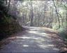 Picture for song '25 Miles From Nowhere' by artist 'Meredith Chapman'