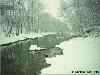 Picture for song 'Winter Sleep' by artist 'Merge'
