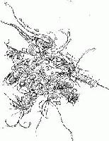 Picture for song 'song' by artist 'Meriochane'