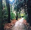 Picture for song 'Right Path' by artist 'Mesmeriah'