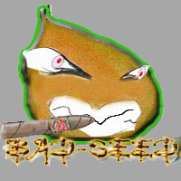 Picture for song 'site battle my verse complete with beat' by artist 'Meta4ce'