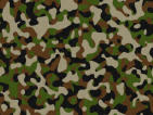Picture for song 'Some Soldiers' by artist 'Metaphysical Combat'