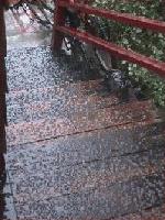 Picture for song 'lav' by artist 'methanandamide'