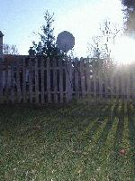cover pic