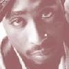 Picture for song 'MGW - Bulletproof Luv' by artist 'MGW'