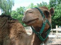 Picture for song 'God & the Guy Behind Me' by artist 'Michael Clark'