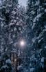 Picture for song 'A Midwinter's Night Daydream' by artist 'Michael Fanning'