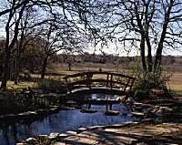 Picture for song 'Hokkaido Frosts' by artist 'Michael McBroom'