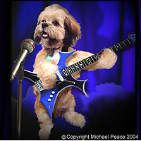 Picture for song 'And Now' by artist 'Michael Peace'