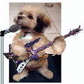 Picture for song 'Gettin On Down Tonight (Country)' by artist 'Michael Peace'