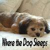 Picture for song 'Where the Dog Sleeps' by artist 'Michael Peace'