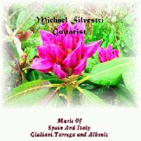 Picture for song 'Leyenda' by artist 'Michael Silvestri guitarist'