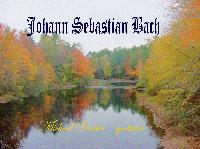 Picture for song 'Prelude (E Maj Suite-Bach)' by artist 'Michael Silvestri guitarist'