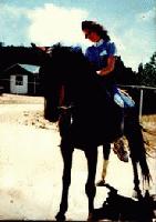 Picture for song '"Sundance"' by artist 'Michelle Ross'