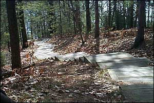 Picture for song 'WE ALL BITE THE DUST BYE AND BYE' by artist 'MichiSongs'