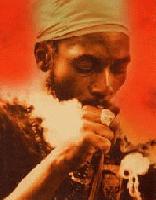 Picture for song 'Capleton - Stand Tall' by artist 'MiC PressenCe'
