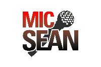 Picture for song 'What I Wanna Do (explicit)' by artist 'Mic Sean (NYC)'