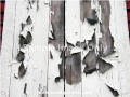 Picture for song 'Paint Chips..' by artist 'Midas'