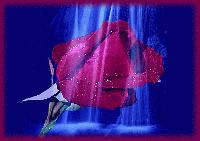 Picture for song 'Somatic Sensation' by artist 'Midwest Avenue'