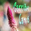 Picture for song 'Carribe Lamb' by artist 'Mike Bobbitt'