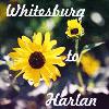 Picture for song 'Whitesburg to Harlan' by artist 'Mike Bobbitt'