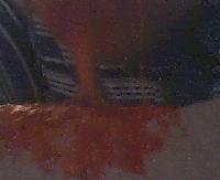 Picture for song 'cunnilingross' by artist 'Mike Sabino'