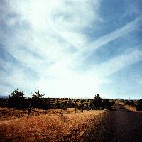 Picture for song 'Belong' by artist 'Mike Shaw'