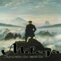 Picture for song 'Don't look back' by artist 'Milega'