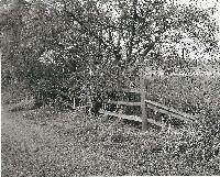 Picture for song 'Jumping Fences' by artist 'Miles Apart'