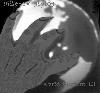 Picture for song 'discretionary impulse' by artist 'milesov styles'