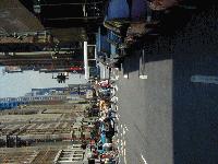 Picture for song 'Street Pass by N Sane & Dead Soljah' by artist 'Militant Artists'