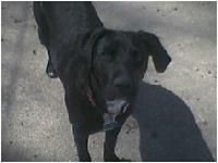 Picture for song 'Fade is Black' by artist 'MilkDrop'