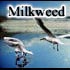 Picture for song 'Peace and Harmony' by artist 'Milkweed03'