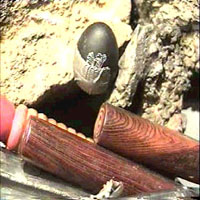 Picture for song 'Green' by artist 'Milla Raspa'