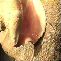 Picture for song 'Water' by artist 'Milla Raspa'