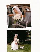 Picture for song 'Stealin' Signs' by artist 'Millhouse'