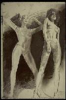 Picture for song 'gravitas two' by artist 'miloaway'