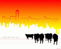 Picture for song 'Miloaway - Untitled Ambient 11' by artist 'miloaway'